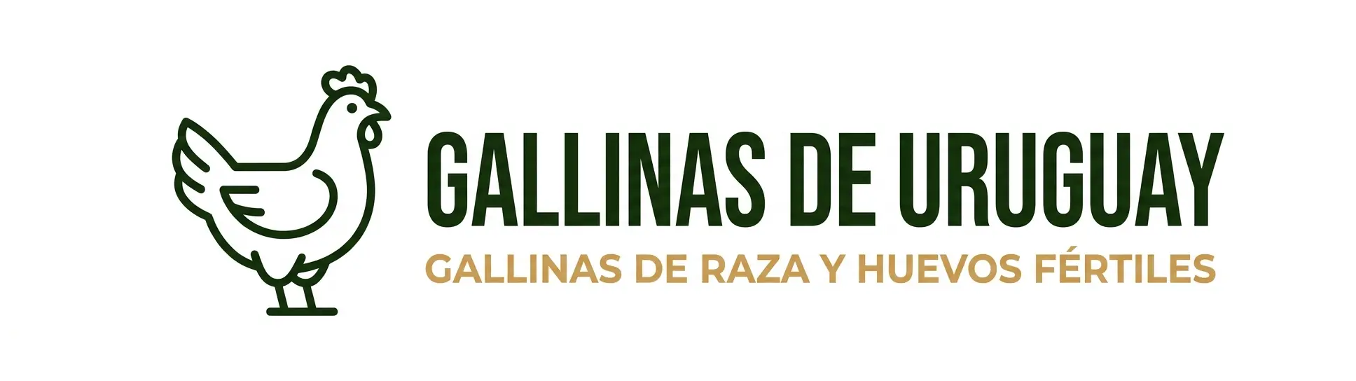 Gallinas de Uruguay